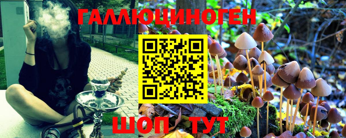 Ялта  Псилоцибиновые грибы MAGIC MUSHROOMS  Вход с VPN 
