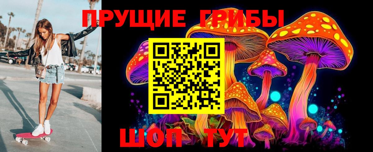 Галлюциногенные грибы Psilocybe Ялта